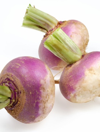 zahrada-zelenina-turin-2